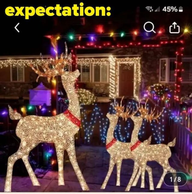 Expectations Against Reality (19 pics)