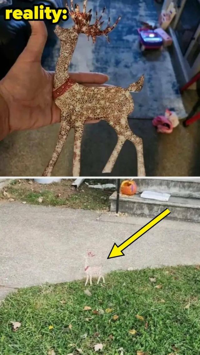 Expectations Against Reality (19 pics)