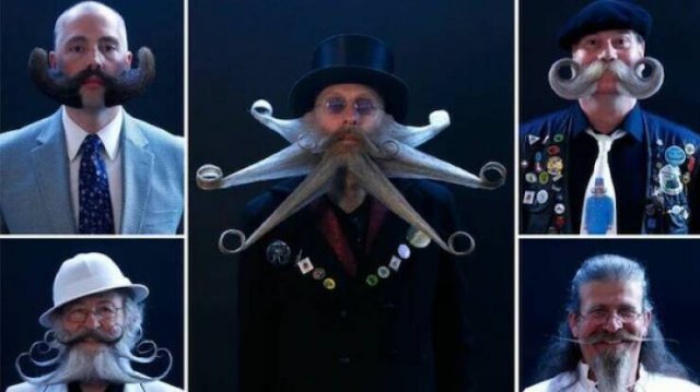 Interesting Finds (17 pics)