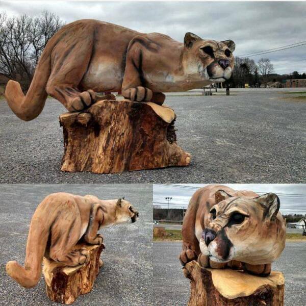 Interesting Finds (17 pics)