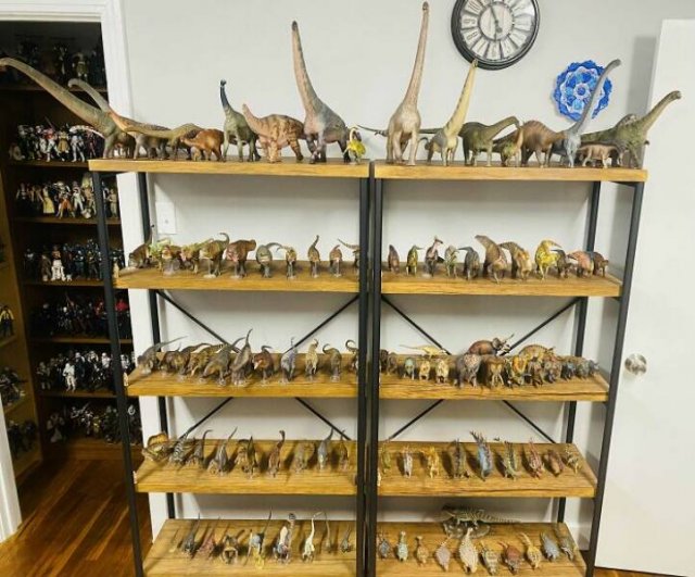 Impressive Collections (25 pics)
