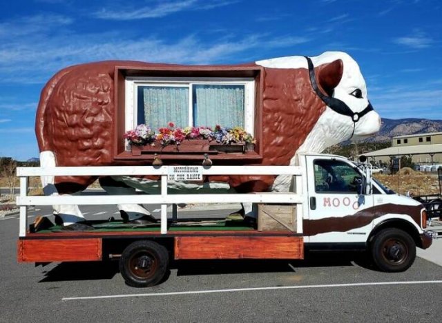 Crazy Tuning (15 pics)