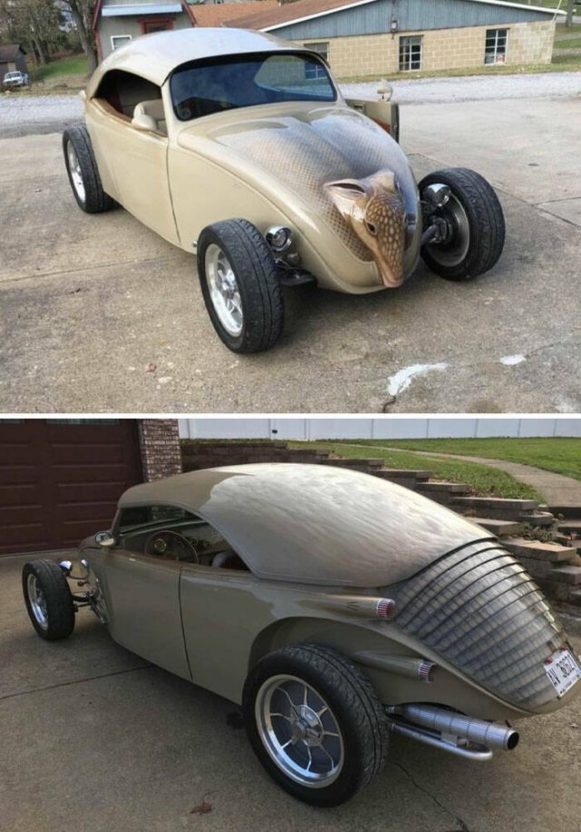 Crazy Tuning (15 pics)