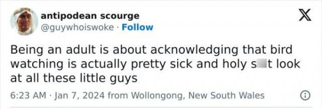 Truthful Tweets (25 pics)