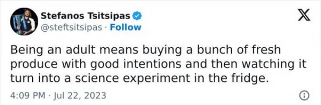 Truthful Tweets (25 pics)