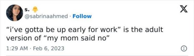 Truthful Tweets (25 pics)