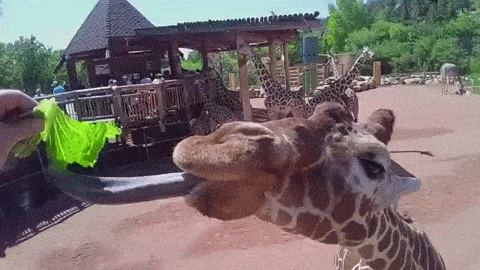 Benefits Of Adult Life (14 pics + 5 gifs)
