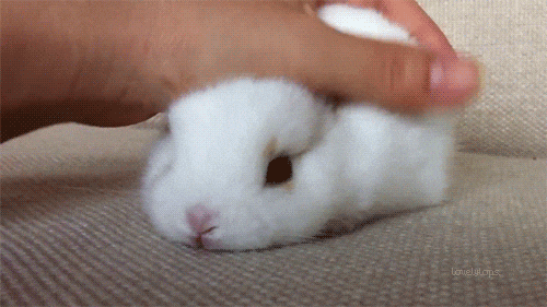Benefits Of Adult Life (14 pics + 5 gifs)