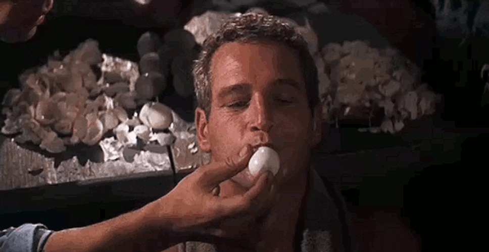 Cooking Lifehacks (16 gifs) Cooking Lifehacks (16 gifs)