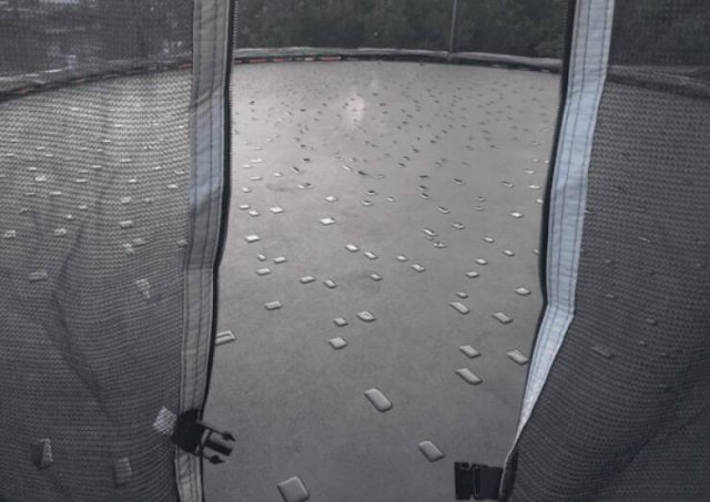 What Is Going On Here? (23 pics)