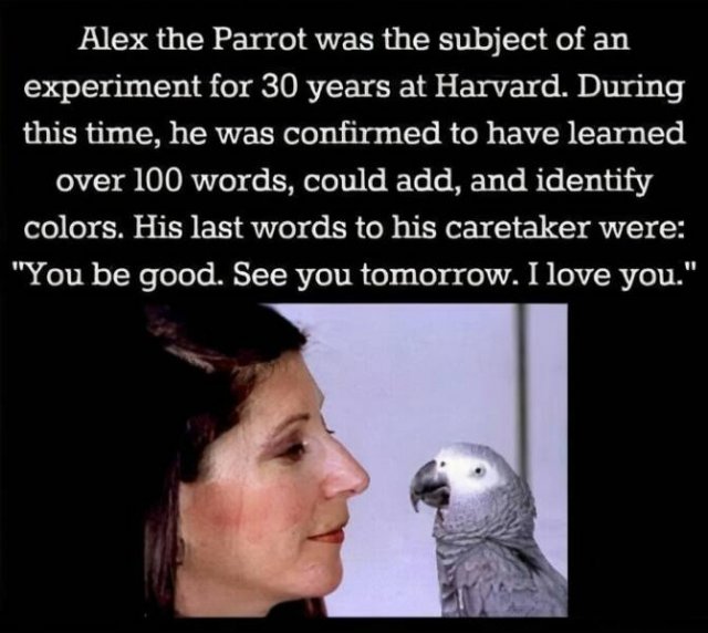 Life Is Beautiful (23 pics)