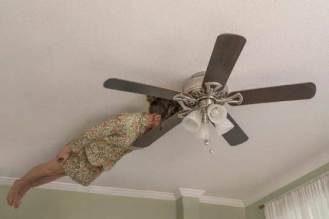 What Is Going On Here? (23 pics)