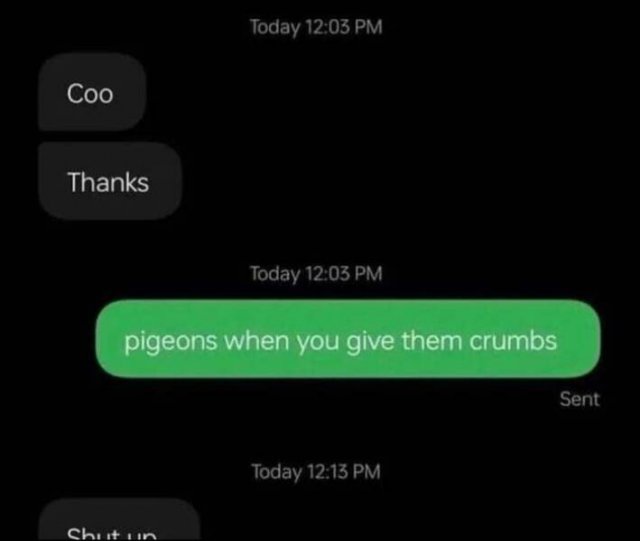 Funny Texts (16 pics)