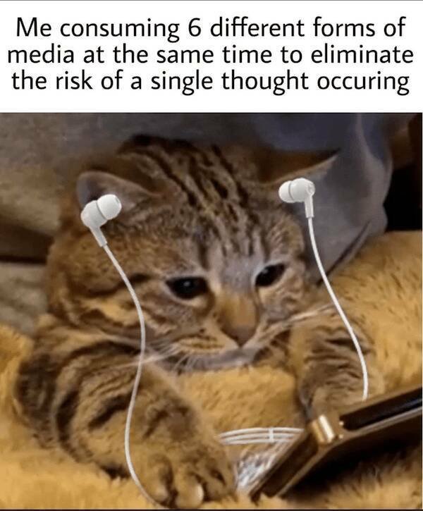 Memes For Internet Addicts (27 pics)