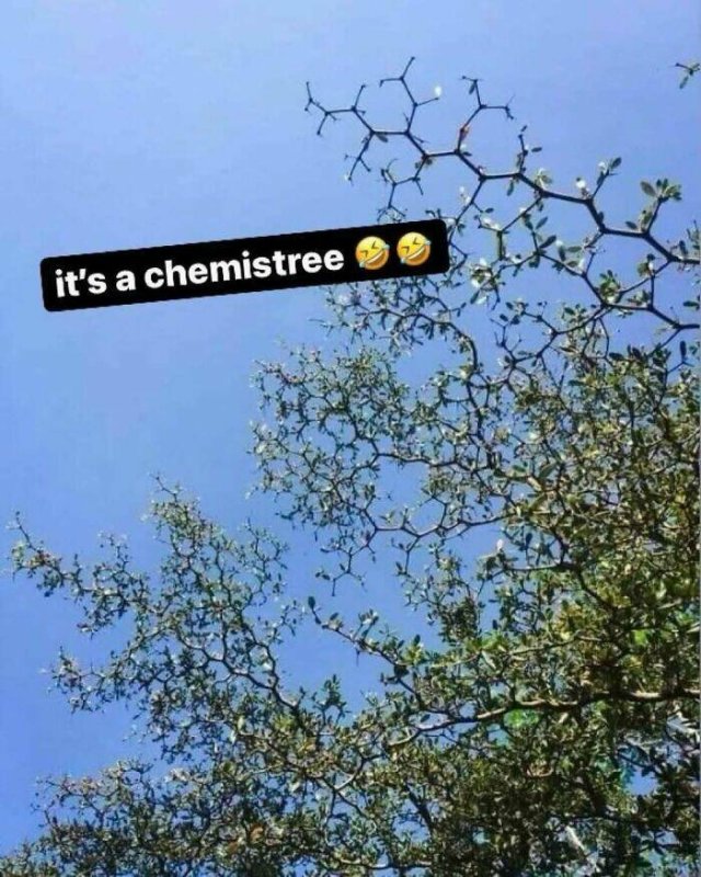 Science Memes (18 pics)