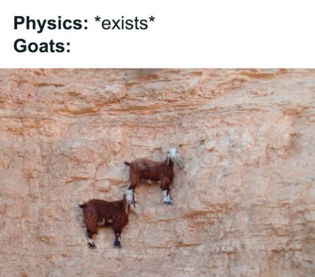 Science Memes (18 pics)