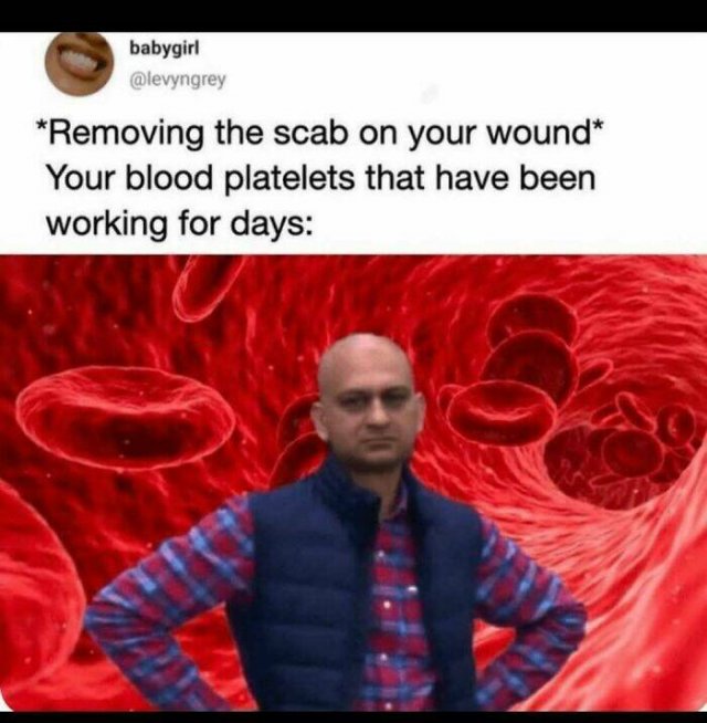 Science Memes (18 pics)