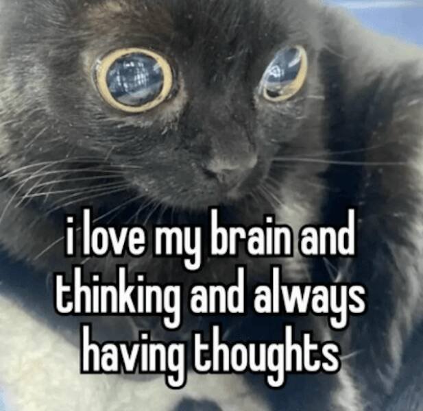 Memes For Internet Addicts (27 pics)