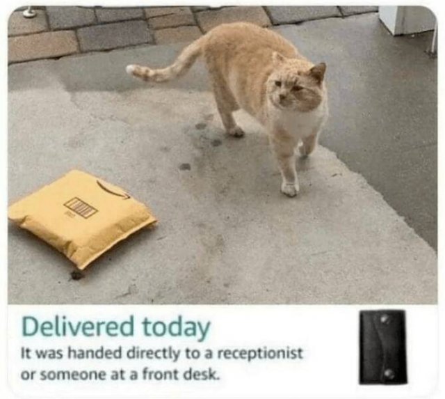 True Jokes About Delivery (26 pics)