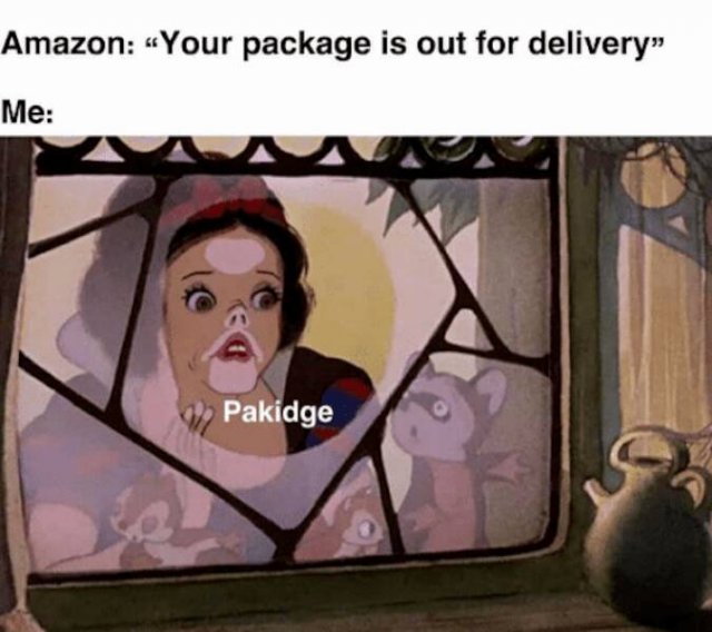 True Jokes About Delivery (26 pics)