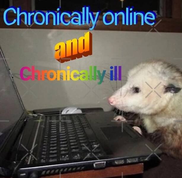 Memes For Internet Addicts (27 pics)