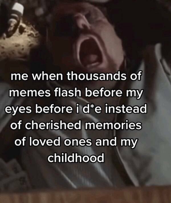 Memes For Internet Addicts (27 pics)