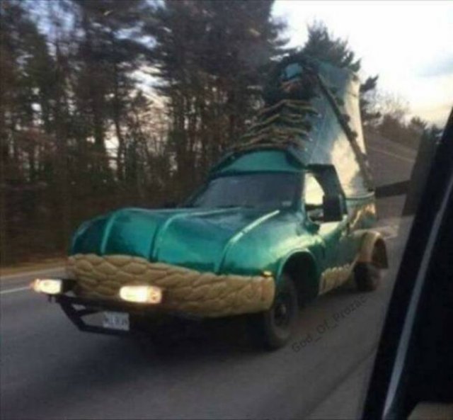 What Is Going On Here? (21 pics)