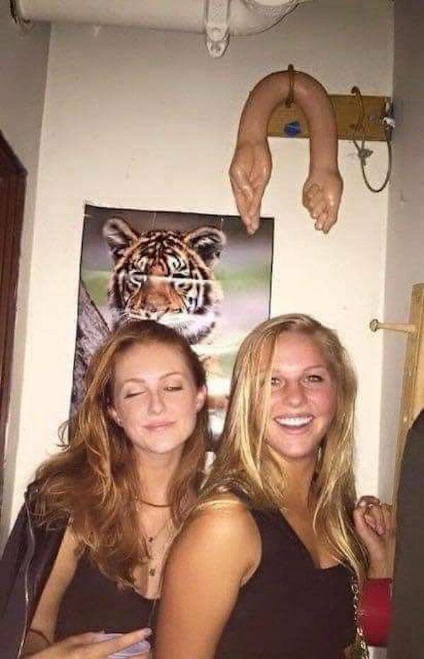 What Is Going On Here? (21 pics)