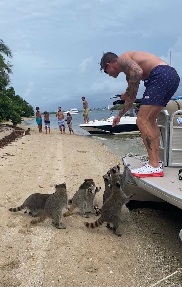 What Is Going On Here? (21 pics)