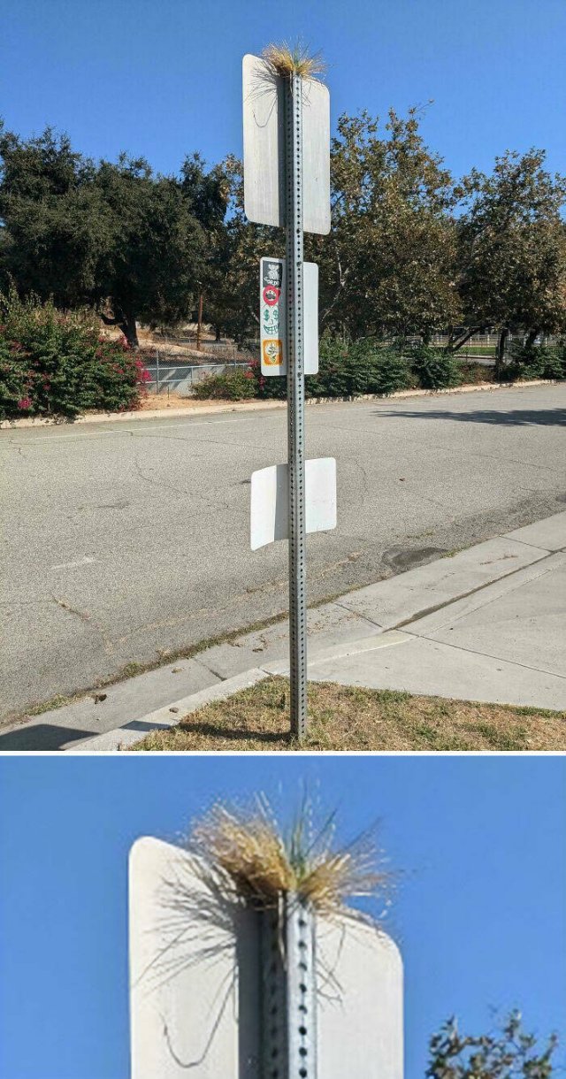 Unusual And Interesting Things (21 pics)