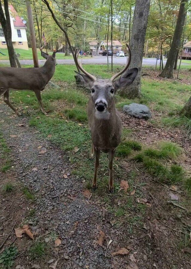 Unusual And Interesting Things (21 pics)