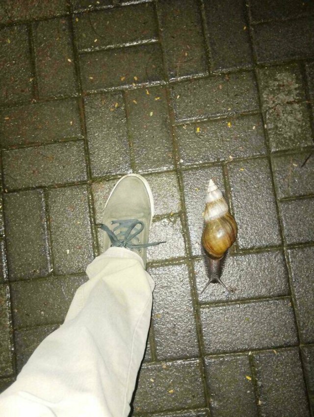 Unusual And Interesting Things (21 pics)