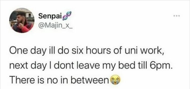 Jokes For Students (23 pics)