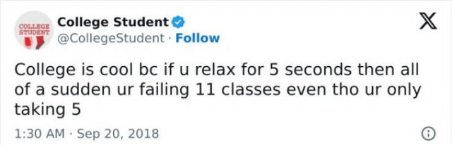 Jokes For Students (23 pics)