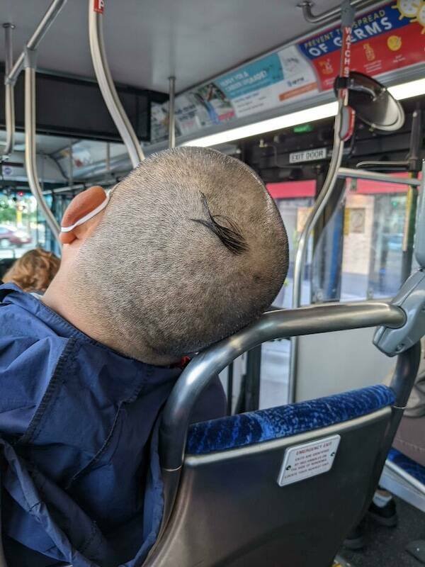 Wild Haircuts (20 pics)