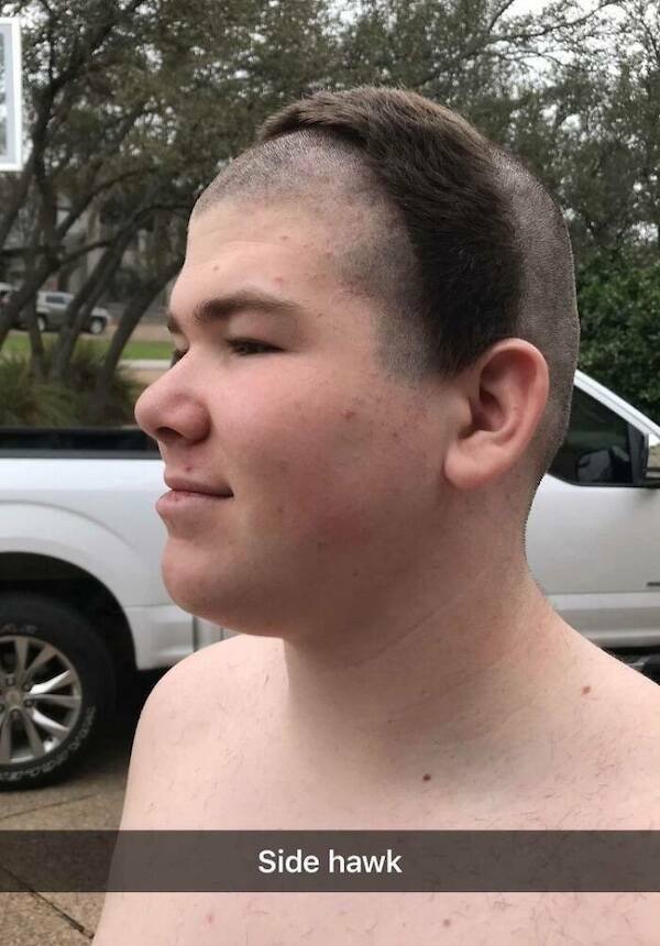 Wild Haircuts (20 pics)