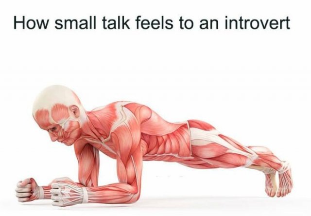 Memes For Introverts (21 pics)