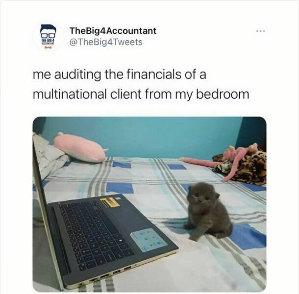 Accounting Memes (24 pics)