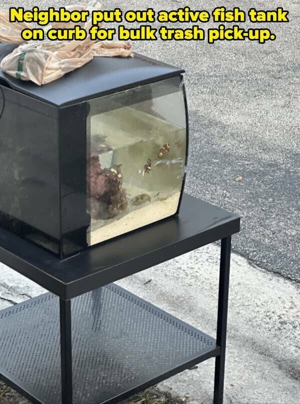 Terrible Neighbors (20 pics)