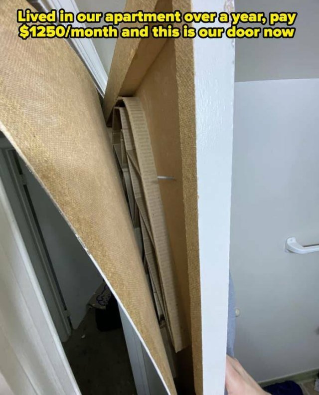 Annoying Landlords (21 pics)