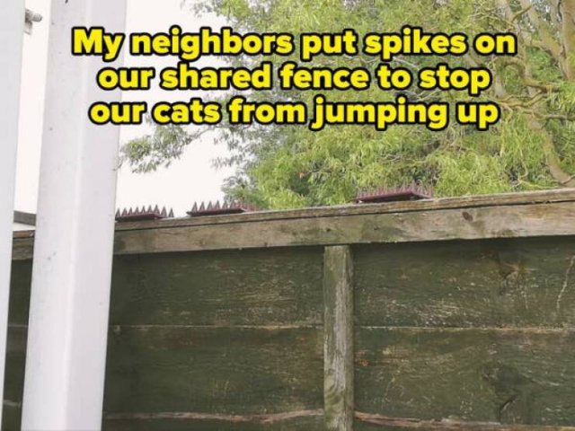 Terrible Neighbors (20 pics)