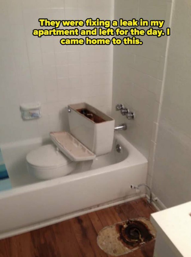 Annoying Landlords (21 pics)