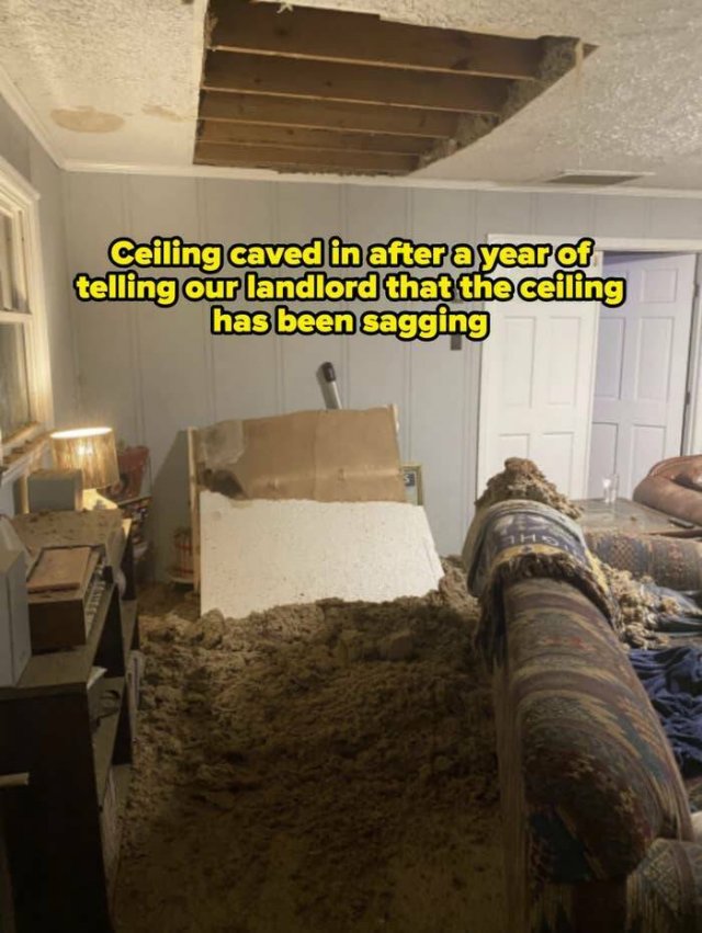 Annoying Landlords (21 pics)