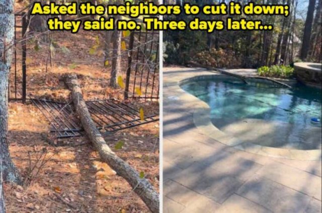 Terrible Neighbors (20 pics)