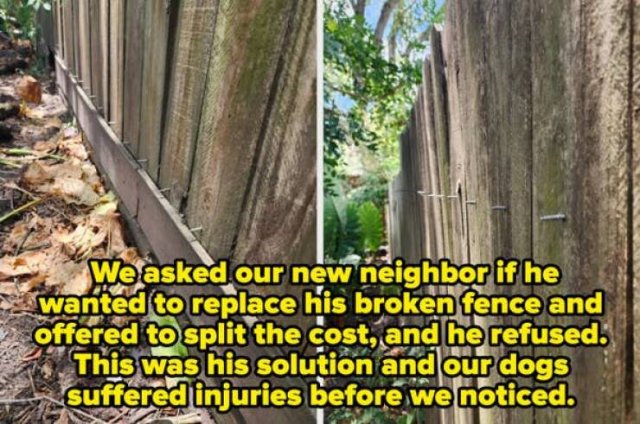 Terrible Neighbors (20 pics)