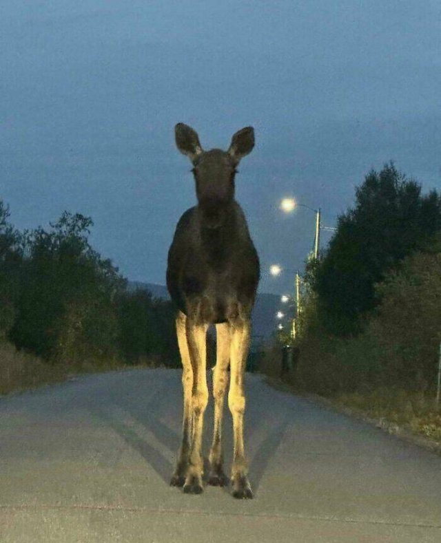 Creepy Finds (20 pics)