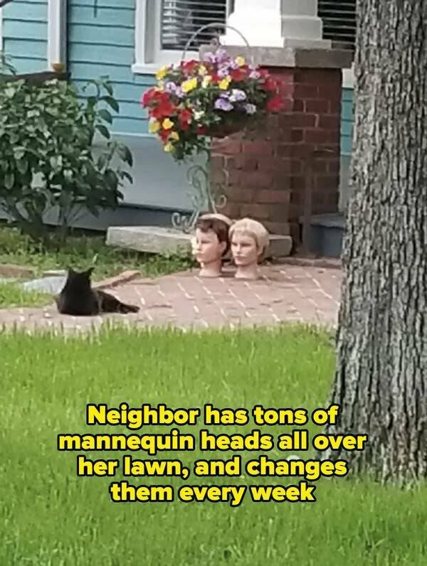 Terrible Neighbors (20 pics)