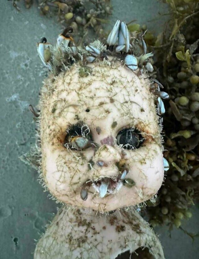 Creepy Finds (20 pics)