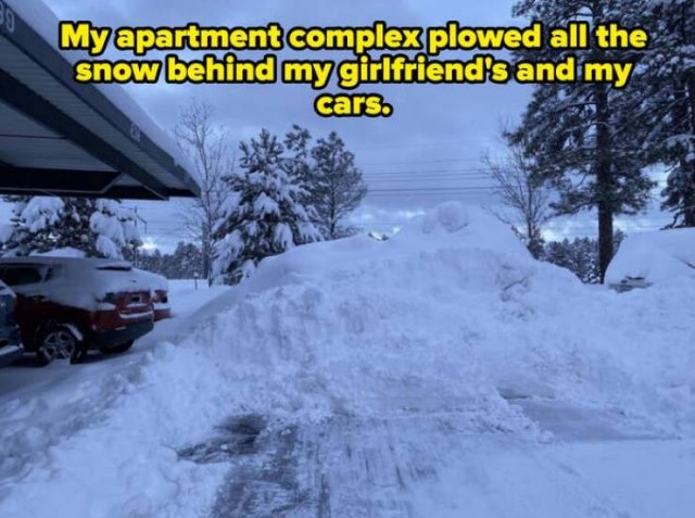 Annoying Landlords (21 pics)
