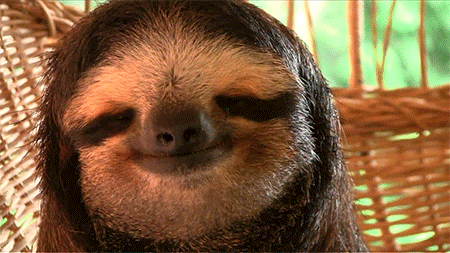 Random Knowledges (15 gifs) Random Knowledges (15 gifs)